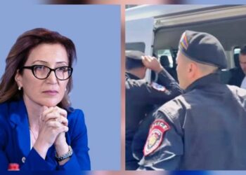 Արնաշաղաղ ցուցարարներ․ Մանե Թանդիլյանի կոշտ հայտարարությունը ոստիկանության մասին