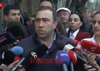 Ծանր հանցանքի հոդված է, երեխային կերակրելու խնդիր կա. Միսակյան