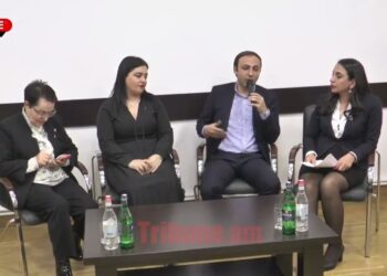 Արցախի դրոշն է եղել պետհամարանիշի վրա, տուգանել են. Ստեփանյան