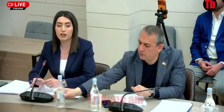 Ոստիկաններին գնահատական են դնելու. Արփինե Սարգսյանի նոր նախագիծը