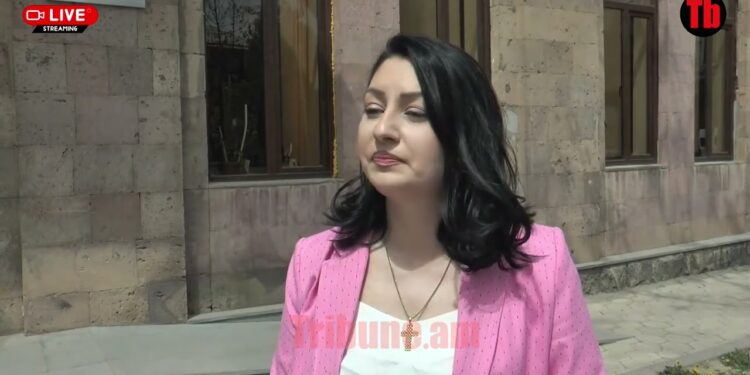 Հոխիկյանը պատշաճ հղումներ է կատարել, իր կարծիքը չի հայտնել․ փաստաբան