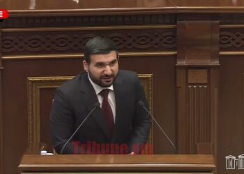 Ուժեղ քյաբաբ Ստյոպիկի մոտ դաշինք կարո՞ղ է լինել, ձեր դարդը լացեք. Ալեքսանյան