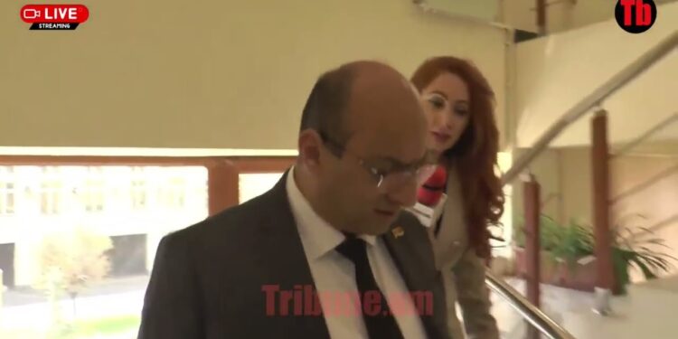 Ականջի մենինգիտո՞վ են ձեր որդիները ազատվել բանակից. Ղալումյանի արձագանքը