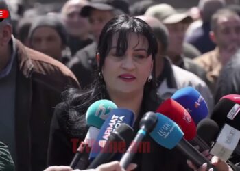 Առուշանյանի հետ ի՞նչ խնդիրներ ունեք, տարաձայնություն կա՞