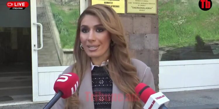 Շոու են անում․ մարդկանց արդեն հասցրել են, ակնհայտ ճնշումներ են մեզ ուղղված. Մելոյան