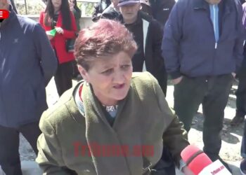 Էն բոմժն ով ա, որ կարտոշկա ա առաքում՝ Փաշոն, գործ տվող, շիզոֆրենիկ կենդանի ա. քաղաքացի