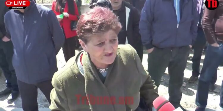 Էն բոմժն ով ա, որ կարտոշկա ա առաքում՝ Փաշոն, գործ տվող, շիզոֆրենիկ կենդանի ա. քաղաքացի