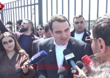 Ամեն օր մեզ զանգում, օգնություն են խնդրում,որ մեկը ասի կմտածեմ ու գլխին բան սարքեն. Նարեկ Կարապետյան