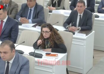 Զզվացնելու եմ Աջափնյակի մետրոյի թեմայով․ հետևելու եմ, որ 4 լոնք առաջ գնա. Ավինյան