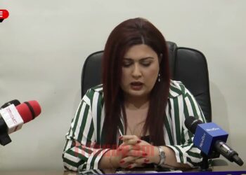 Կոկորդիլոս է ուզում բուծել էս տարածքում, հարմար տարածք է գտել, թույլ չենք տալու. Արփինե Խաչատրյան