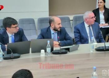 Ափսոսում ու խնայում ենք ձեզ, չեմ ուզում ներքաշել քաղաքականության մեջ