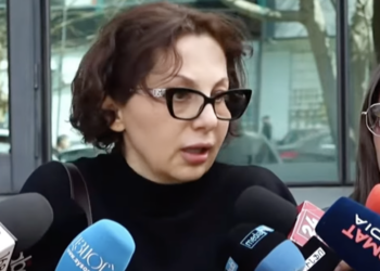 Թույլ տվեք երեխայիս տանը տիրություն անեմ. տղաների մայր