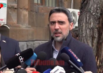 Նորածին ունենալը պիտի հաշվի առնեին նախքան հարկադրանքի դիմելը. Վարդևանյան