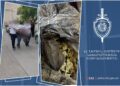 Քրեական ոստիկանները շրջանառությունից դուրս են բերել մոտ 4,5 կիլոգրամ մարիխուանա․ վարորդն ու ուղևորը ձերբակալվել են