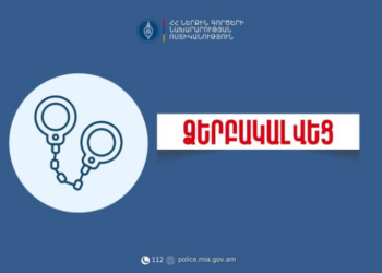 Երևանում օտարերկրացիների մասնակցությամբ կողոպուտ է բացահայտվել