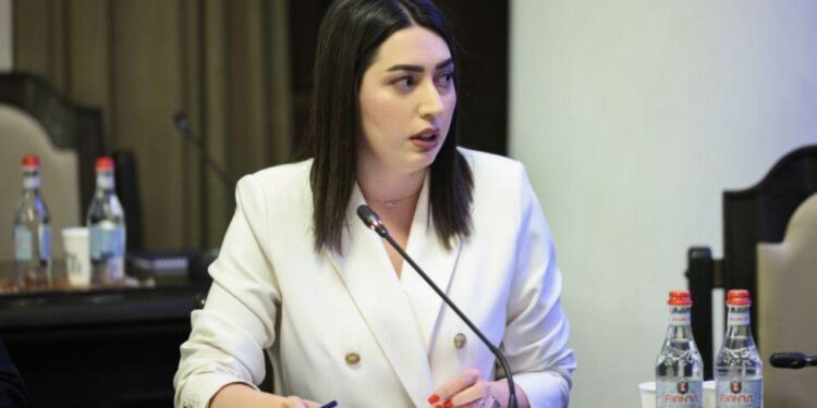 Կառավարությունը նախատեսում է ներդնել վարելու իրավունքի վերականգնման նոր մոդել