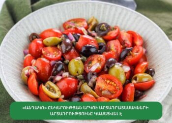 «Անդակո» ՍՊԸ-ի երկու աղցան վտանգավոր է ճանաչվել․ արտադրությունը կասեցվել է