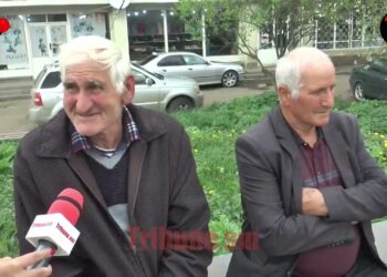 Իմ գործով եմ եկել, Փաշինյանի համար չեմ եկել. Տաշիրցի