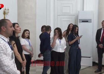 Պռոշտի անել է ձեզ ուզում տղամարդը, արվամոլ բլոգեր մատուցողներ են ձեզ աջակցում, դուք ձեզ ձայն կտայի՞ք