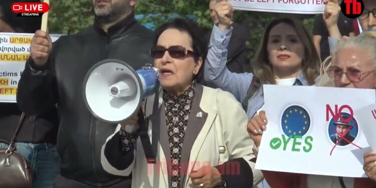 Shame on you! Մենք պայքարում ենք, որ չմոռանաք ձեր արժեքները. Լարիսա Ալավերդյան