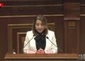 Գաղտնալսելու ենք մեր սարքերով. ինչ նախագիծ է բերել Քրիստինե Գրիգորյանը