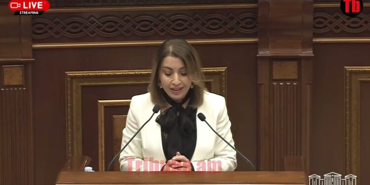 Գաղտնալսելու ենք մեր սարքերով. ինչ նախագիծ է բերել Քրիստինե Գրիգորյանը