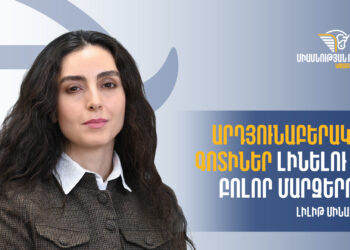 Արդյունաբերական գոտիներ լինելու են բոլոր մարզերում․«Միասնության թևերի» տնտեսական թիմի անդամ Լիլիթ Մինասյան