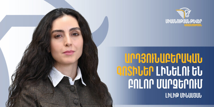 Արդյունաբերական գոտիներ լինելու են բոլոր մարզերում․«Միասնության թևերի» տնտեսական թիմի անդամ Լիլիթ Մինասյան