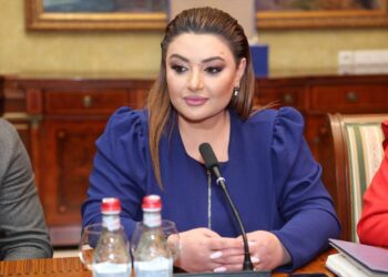 Հիմա ի վերջո ի՞նչը հերքեմ կամ մեկնաբանեմ. Իվետա Տոնոյանը՝ վարչապետի հնչեցրած մեղադրանքների մասին