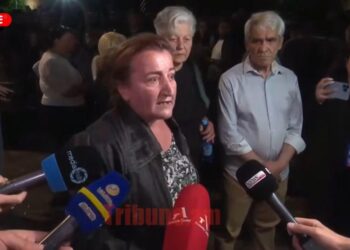 Ծառուկյանի ոտի կտրած եղունգը չարժես դու, էսքան դալտոնիկ չպիտի լինես. քաղաքացի