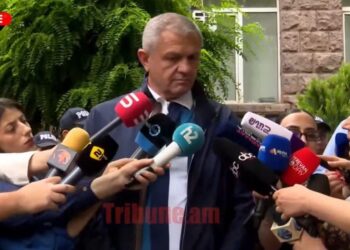 Նույնիսկ դատարանը ԿԸՀ-ի վրա է դրել պատասխանատվությունը. Մամիկոն Ասլանյան