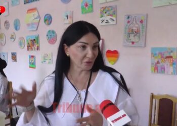 Տեղ չունեինք, քվեաթերթիկները պատուհանին դրեցինք․ ստուգել են, ասել են՝ նորմալ ա