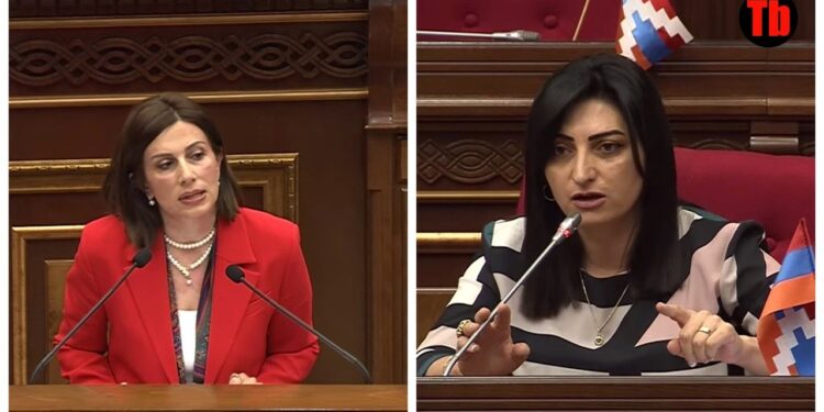 Կեղծիք դուք եք տարածում, Վարդենիսի նոր հիվանդանոցը ե՞րբ է կառուցվելու, հասցեն ասեք՝ գնանք տեսնենք