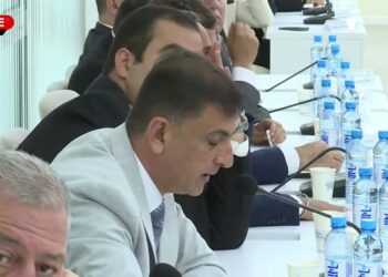 Ստեղծել ենք միջավայր, որի մասին կարող էինք երազել. Ավինյան