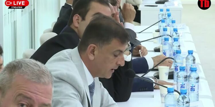 Ստեղծել ենք միջավայր, որի մասին կարող էինք երազել. Ավինյան