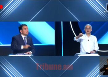 Ով է թռածը. բացահայտեցին Զուրաբյանն ու Նարեկ Կարապետյանը