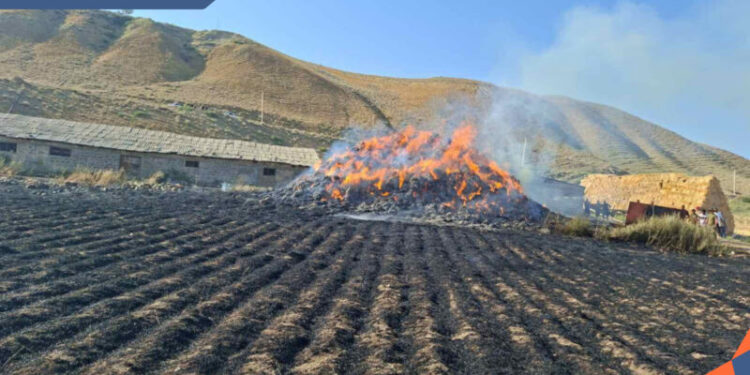 Ուրցաձորում այրվել է շուրջ 2000 հակ անասնակեր և 2500 քմ հնձած ցորենի արտ