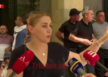 Շինծու գործով մեկուսացրին Ծառուկյանին,քաղաքական հետապնդում է. Վարդանյան
