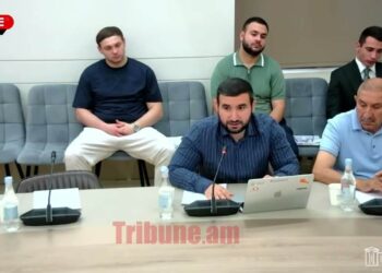 Սմուլյացիայի, կեղծ թղթերով զինծառայությունից ազատվելու համար խիստ պատիժ է լինելու. Ալեքսանյան