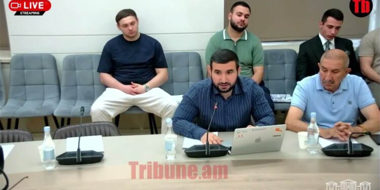 Սմուլյացիայի, կեղծ թղթերով զինծառայությունից ազատվելու համար խիստ պատիժ է լինելու. Ալեքսանյան
