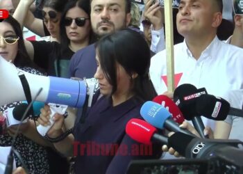Stop making democracy selective. Աննա Կոստանյան