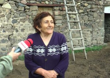 Մեր կովերին ադրբեջանցիները սարից տարան, Հայաստանը փոխհատուցեց գինը․ Կութեցի