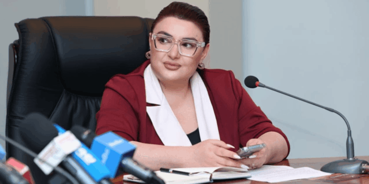 Ներդրող Նիկոլայ Վինիցկին Հայաստանի դեմ ներդրումային վեճի մասին ծանուցում է ներկայացրել. Տոնոյան