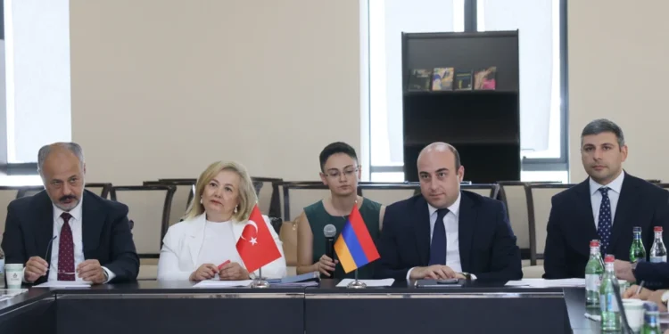 Անիի կամրջի վերականգնման շուրջ հայ-թուրքական աշխատանքային խմբի երկրորդ հանդիպումն է կայացել Երևանում