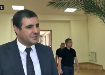 Դեսպանին պատմության դա՞ս եք տալիս. Արման Եղոյան