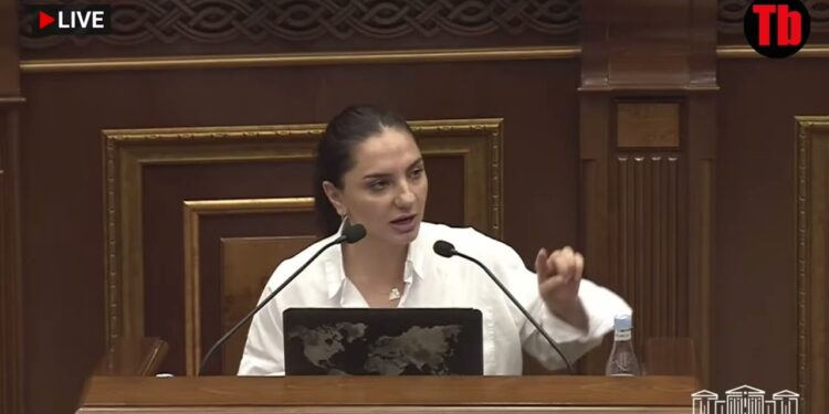 «Բարեկեցիկ» բառն ավելացնելով՝ մարդկանց կյանքը բարեկեցիկ չի դառնալու․ Արեգա Հովսեփյան
