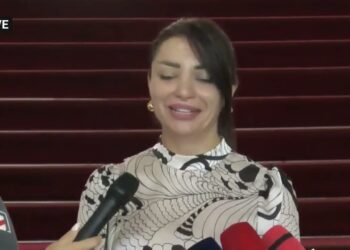Էդ Վարոյին հարցրե՞լ եք՝ իմ հետ ի՞նչ կապ ունի Ալեն Սիմոնյանի վարորդը. Հասմիկ Հակոբյան