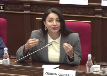 Հասմիկ Հակոբյանը միացրեց Նարեկ Կարապետյանի ձայնագրությունը. Ուղիղ խոսքը էշին են ասում