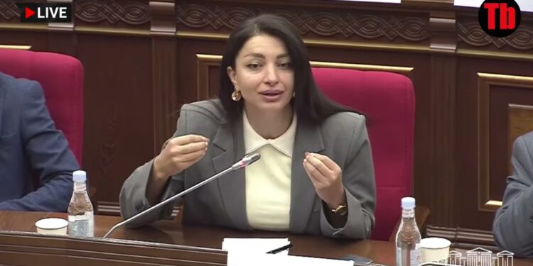 Հասմիկ Հակոբյանը միացրեց Նարեկ Կարապետյանի ձայնագրությունը. Ուղիղ խոսքը էշին են ասում