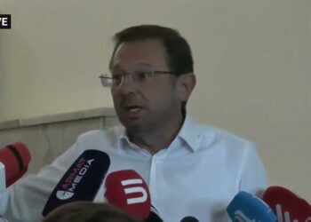 Մի՛ արեք, անբարո բան է, սա Տիգրանաշենի համար պայքարի ծիծեռնակներն են. Մանուկյան